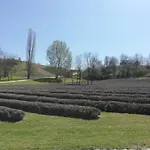 Sailor Balatonlelle