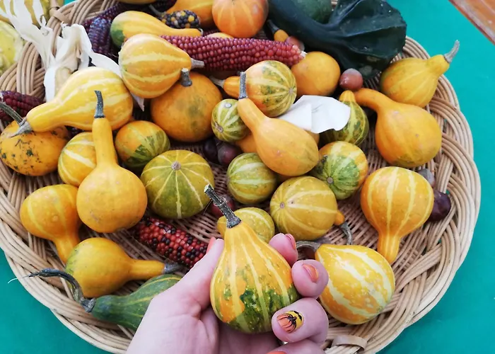 Appartement Sailor Balatonlelle